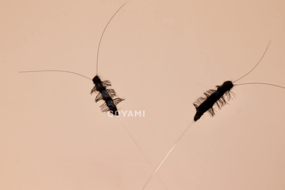 image_D6028307-F216-4932-A167-D2F1837C23C5_1782728928