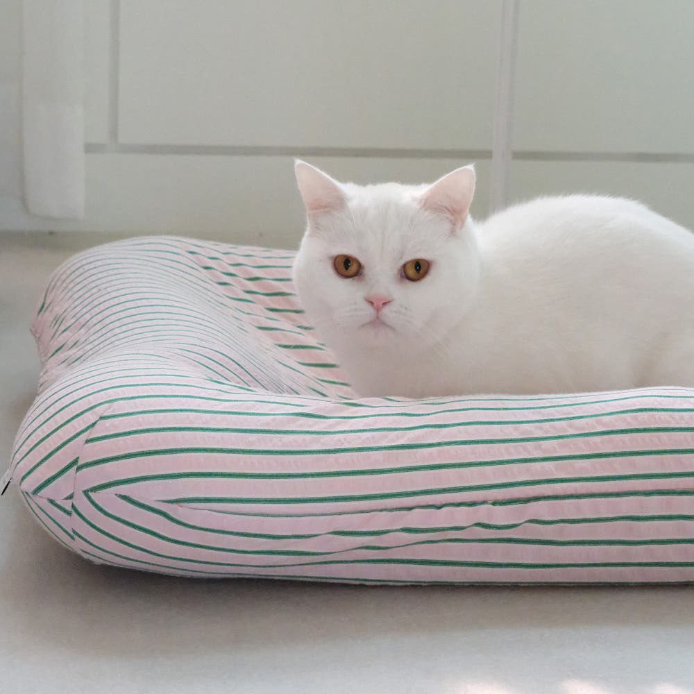 image_2EBE3D9D-770F-4DC6-9800-CF4EB4A6B56C_1750315742