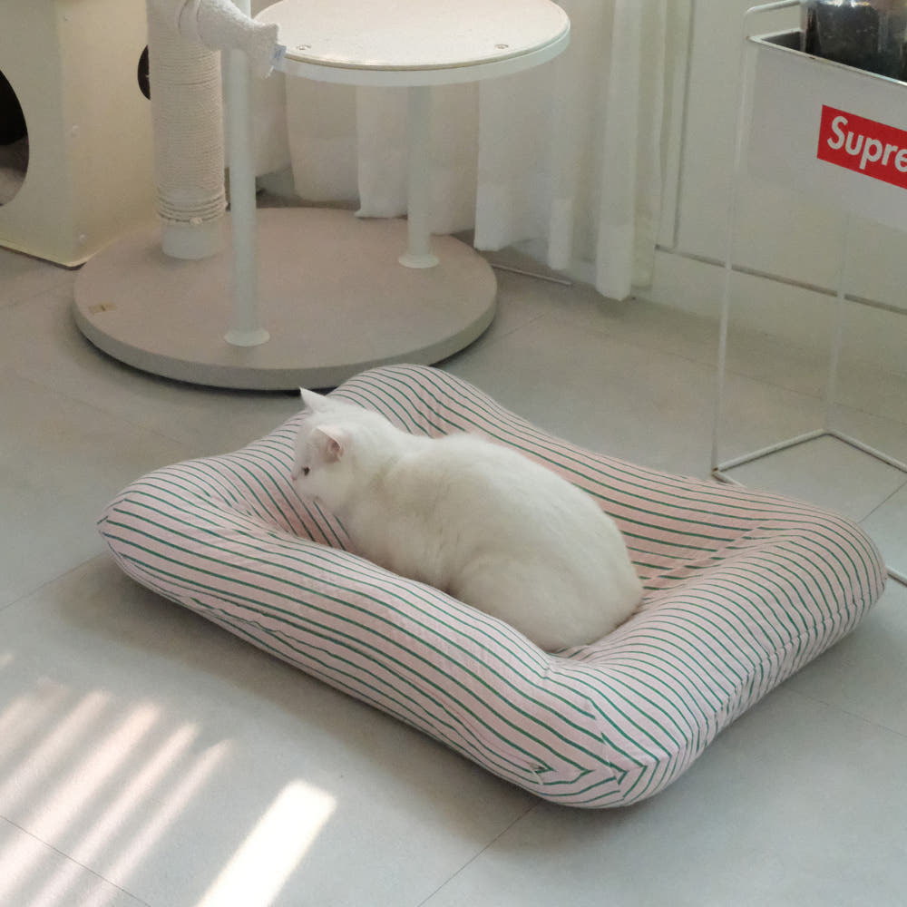 image_C24A4D3B-BA95-4264-9A52-1FE452001802_1750315742