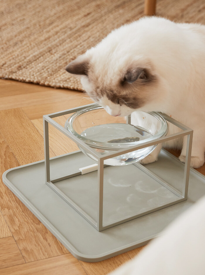 image_57AD37E6-C519-4049-98D0-B519B914198D_1752038247