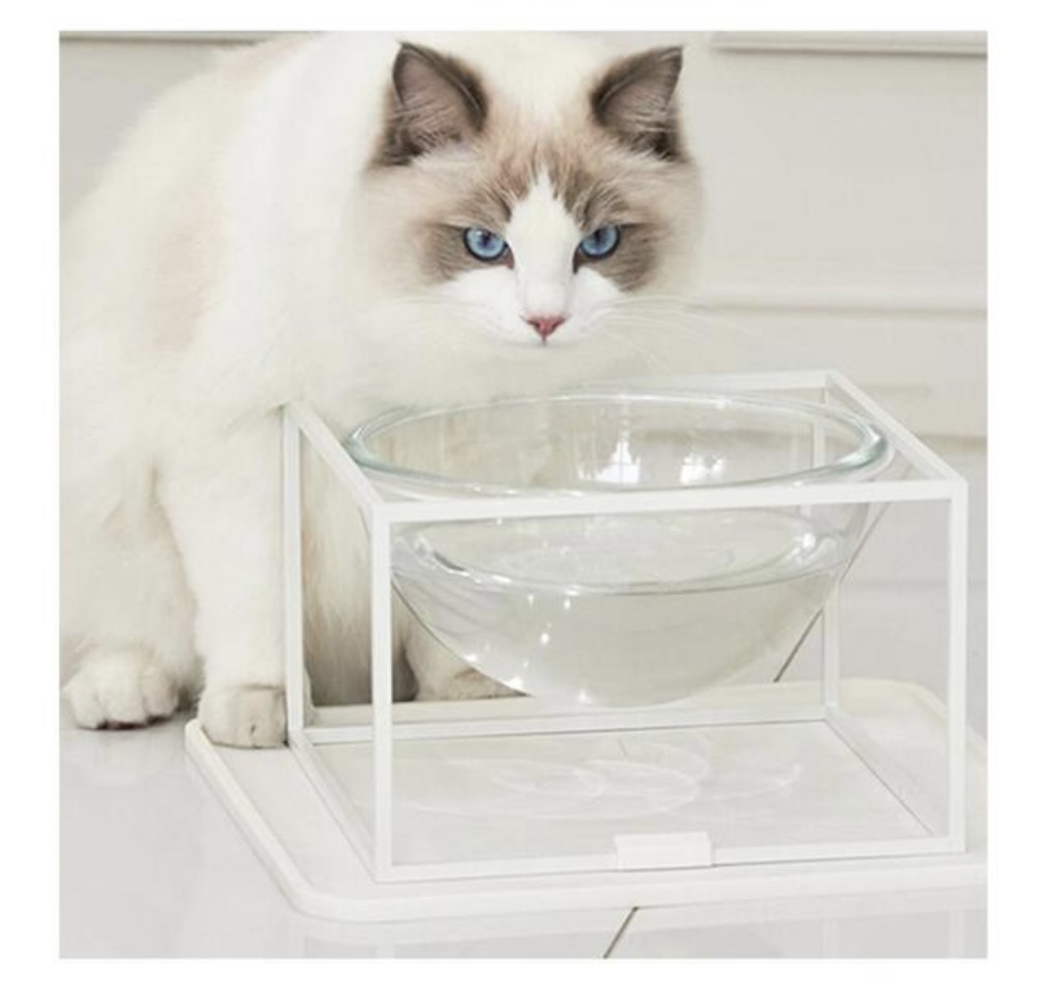 image_C42CBBAB-6A13-493D-9769-5125D6BAEA3D_1752039292