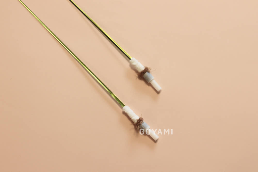 image_19D1796B-93A6-4692-ADEB-A0A429813916_1758269815