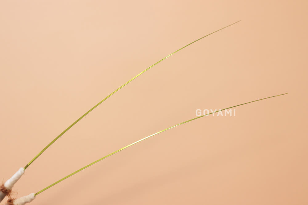 image_559DFBDB-B3BF-4E0D-BA91-774974AEFC77_1758269815