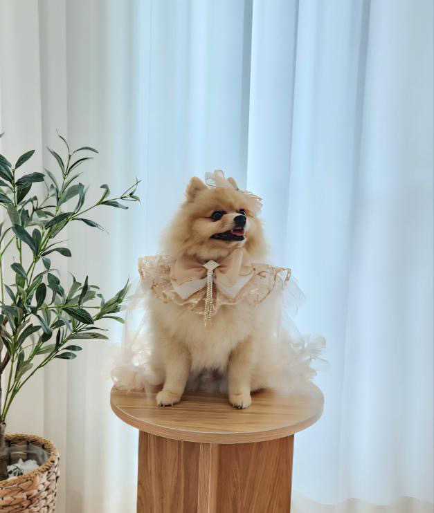 image_2FD06821-D477-4B35-9850-9A81683F584E_1758789748