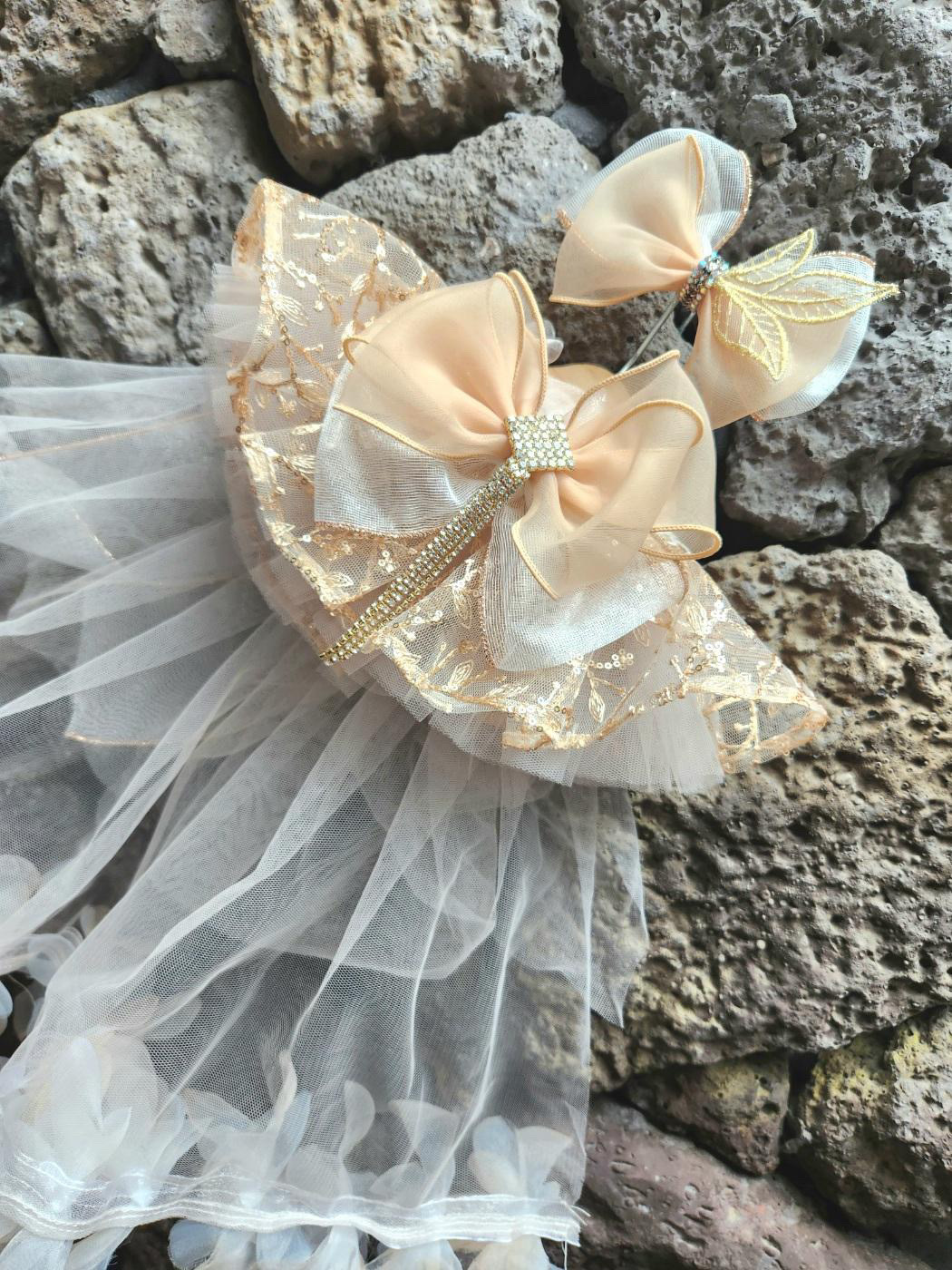 image_F8A673E5-7FEB-48FC-878C-26B1F278BB34_1758789748