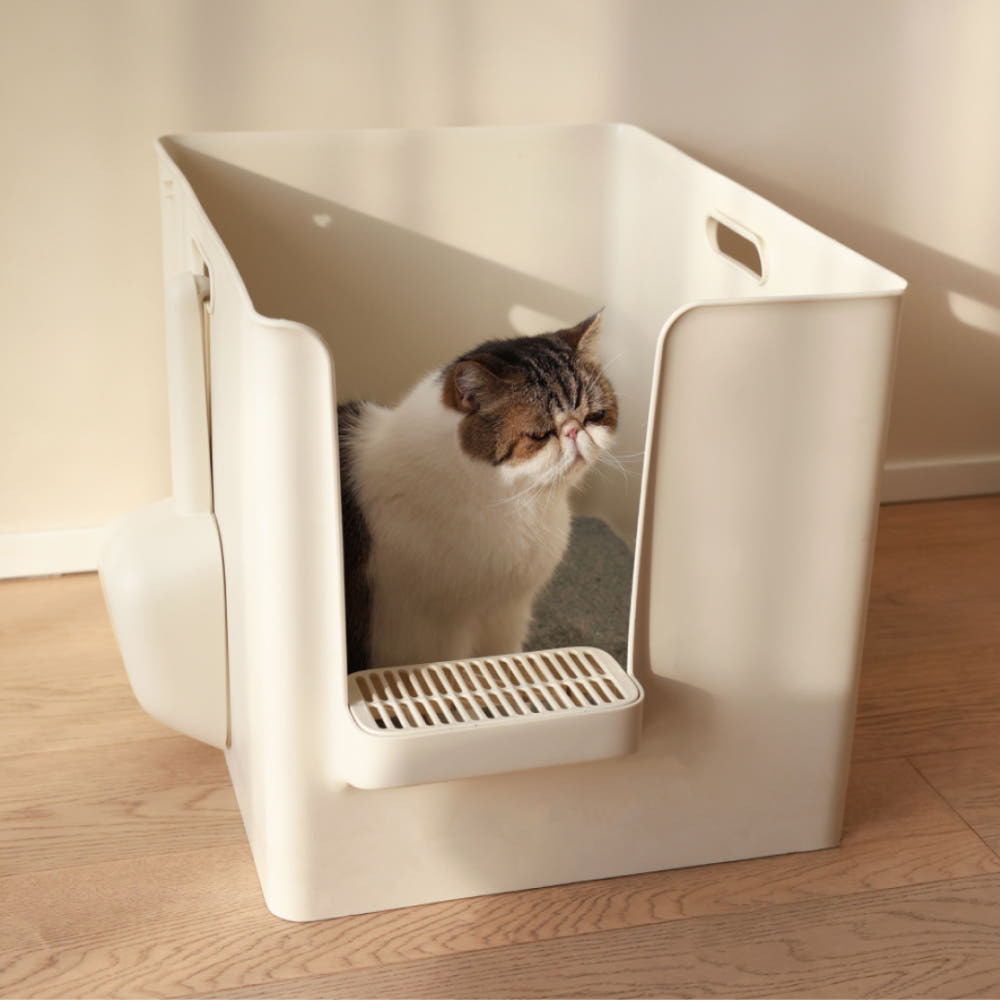 image_9A847565-EC19-4643-B57A-9CCB6104DA55_1760602900