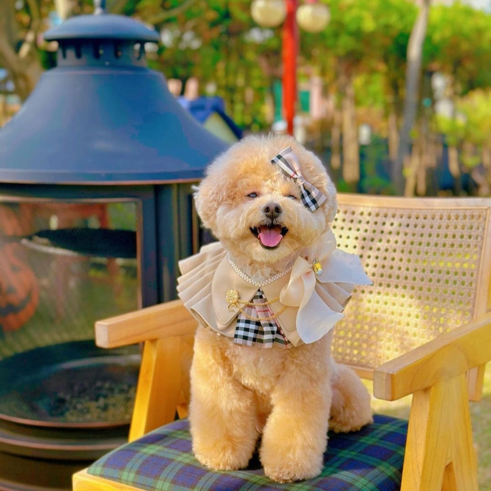 image_9036BE01-6046-45AB-863E-C76029FA66AE_1761567617