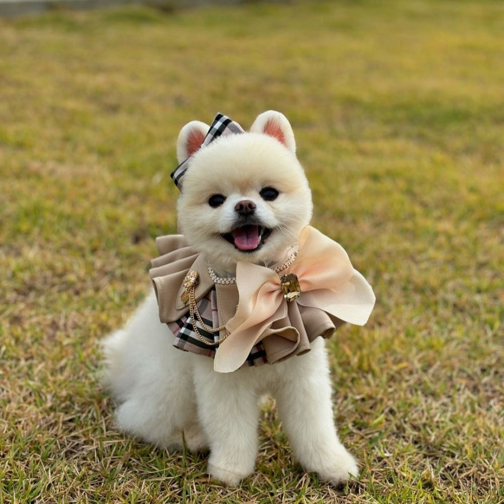 image_B4D4F686-C7A7-4571-BB48-F4BC4E1B6E1A_1761567617