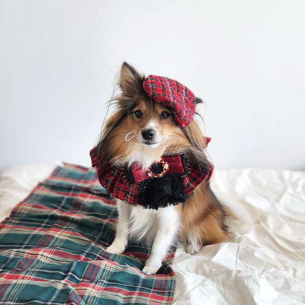 image_24F45B88-333F-45E4-BC74-2A626A90C6E8_1762840757