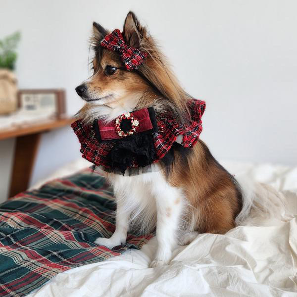 image_95A592E3-C2B4-43C7-ADF6-27A14DB8136D_1762840757