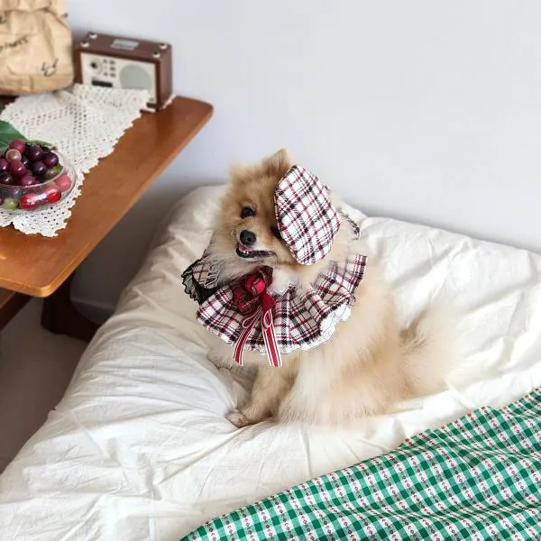 image_D3F6094D-665B-4189-8BED-C17EAAC75C1F_1762841004