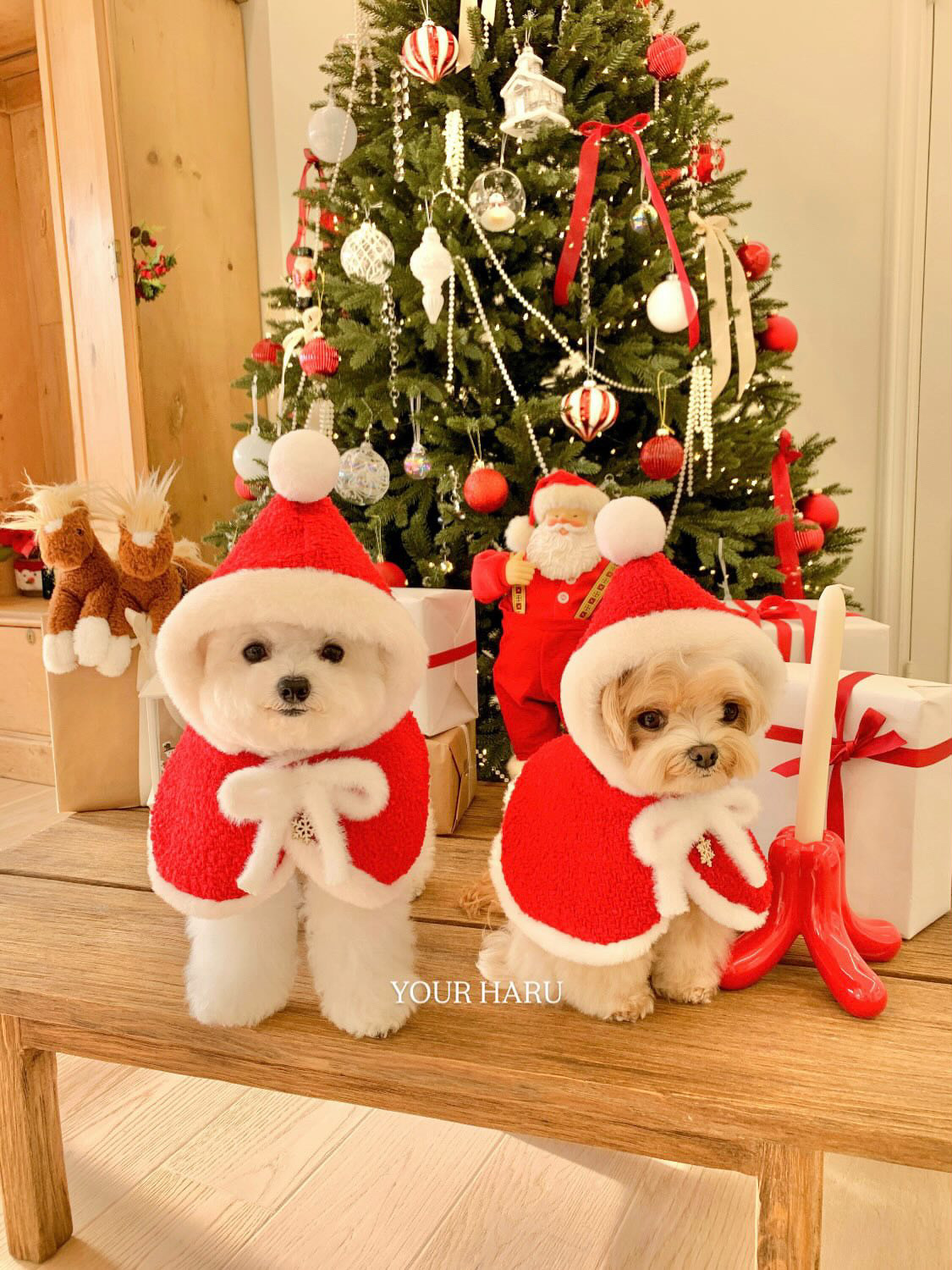 image_F4AA4152-CE59-49A9-AD9C-976581116B48_1763087033