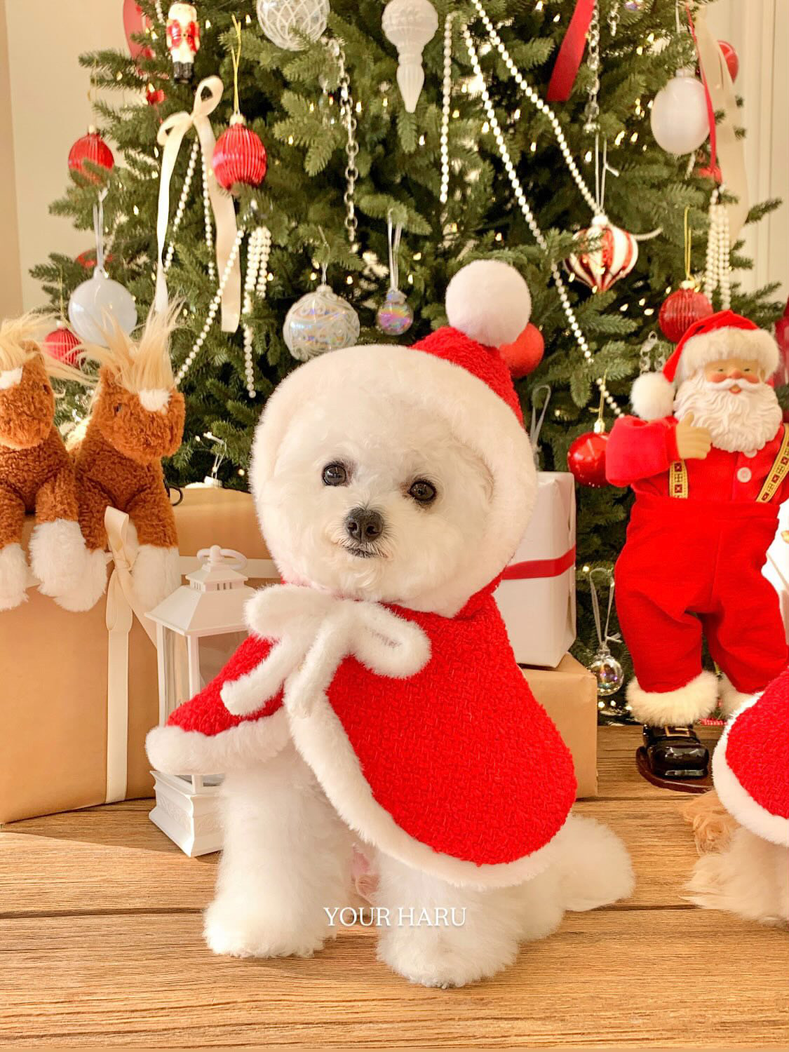 image_4967DEC2-A812-4980-93C6-1380330212AF_1763087033