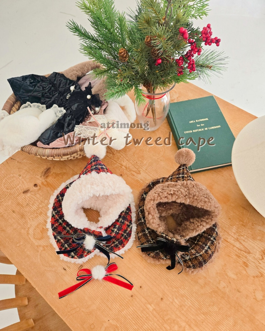 image_EFA77049-13CD-4AA1-8075-B0007C2A8D29_1764522574