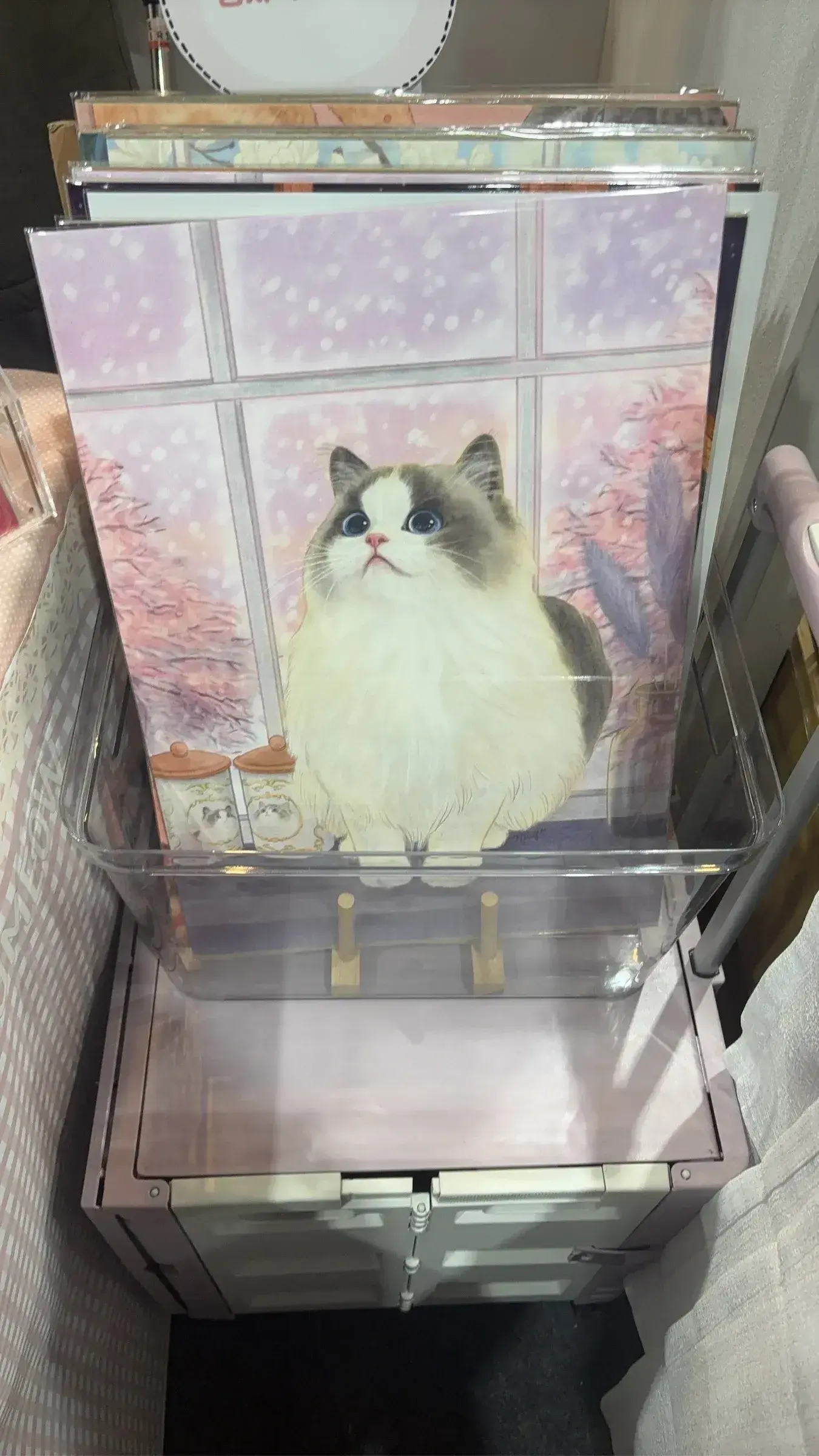 image_2CF11325-31AE-4222-BFB2-FE056341B1D6_1765023190