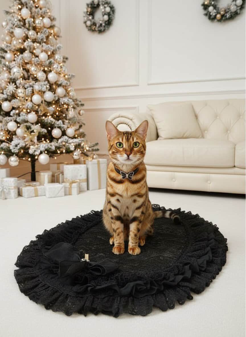 image_2E4DE5F7-4988-4828-9851-9E5A140F774B_1765271678