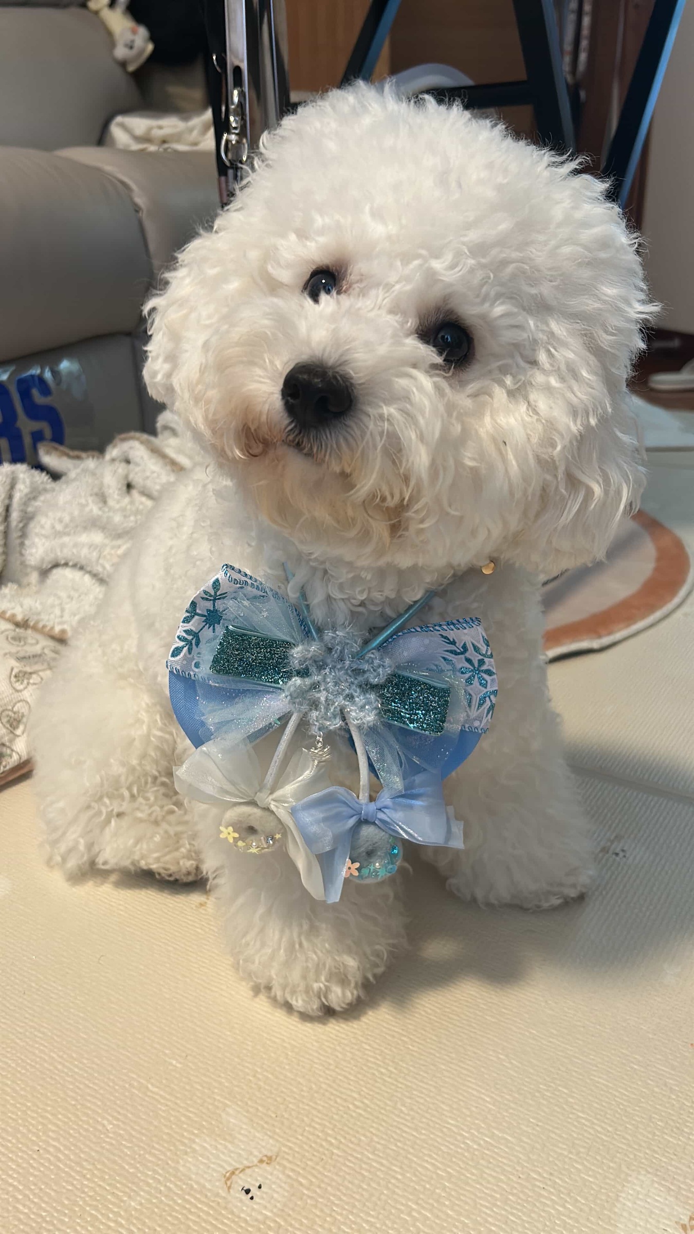 image_DF3CA807-6914-4A95-8F82-D36E893ACD97_1765271902