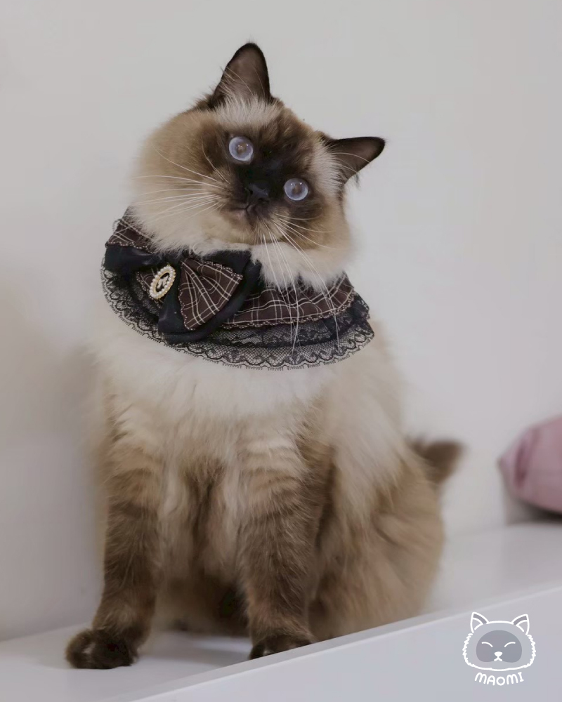 LC-BT-049_5 複本 15