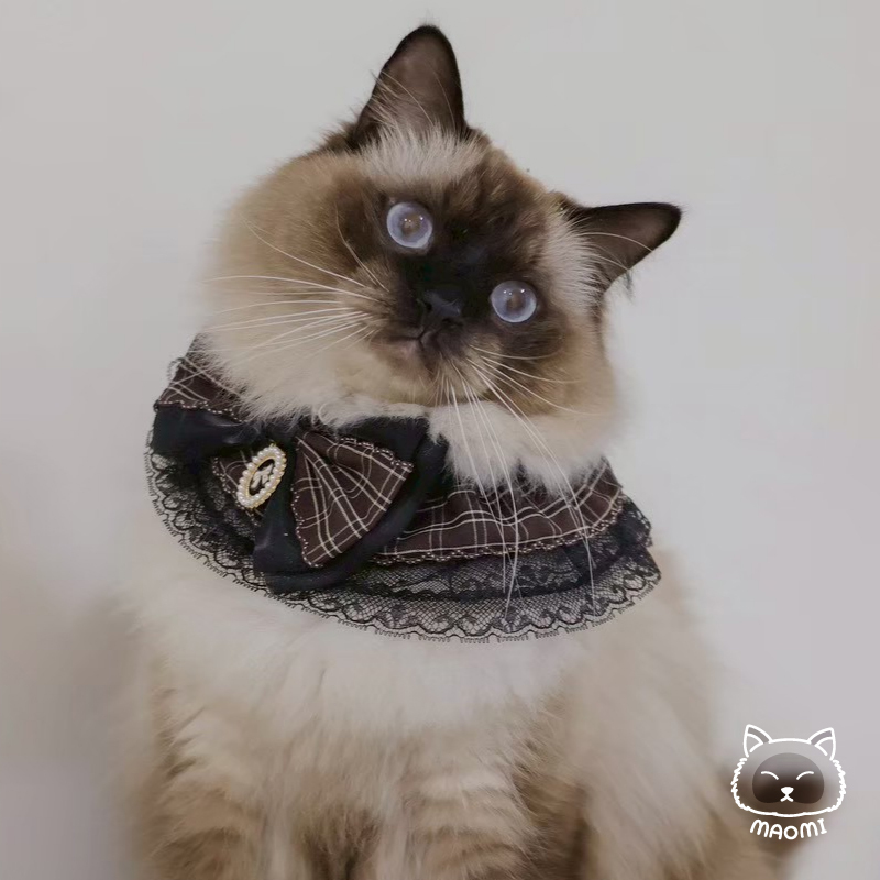 LC-BT-049_5 複本 25