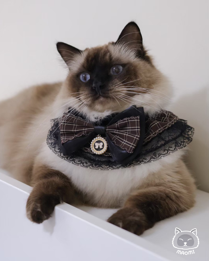 LC-BT-049_5 複本 21