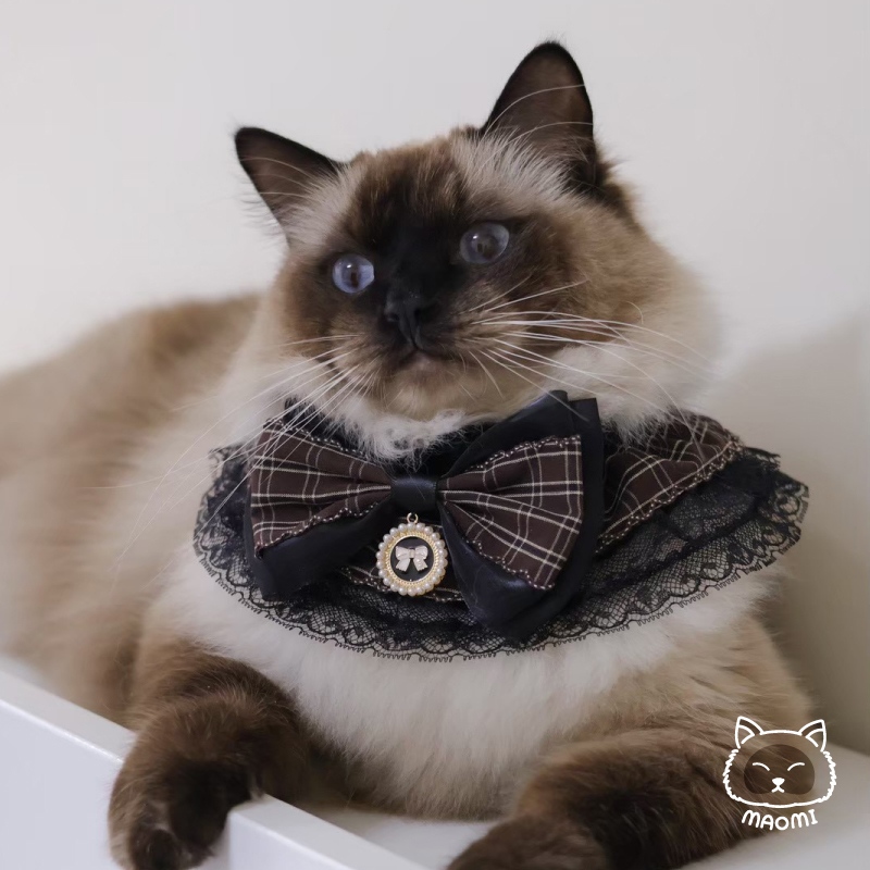 LC-BT-049_5 複本 28