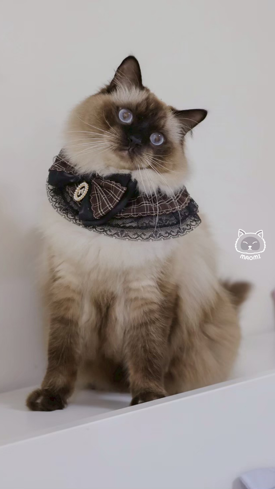 LC-BT-049_6 複本 2