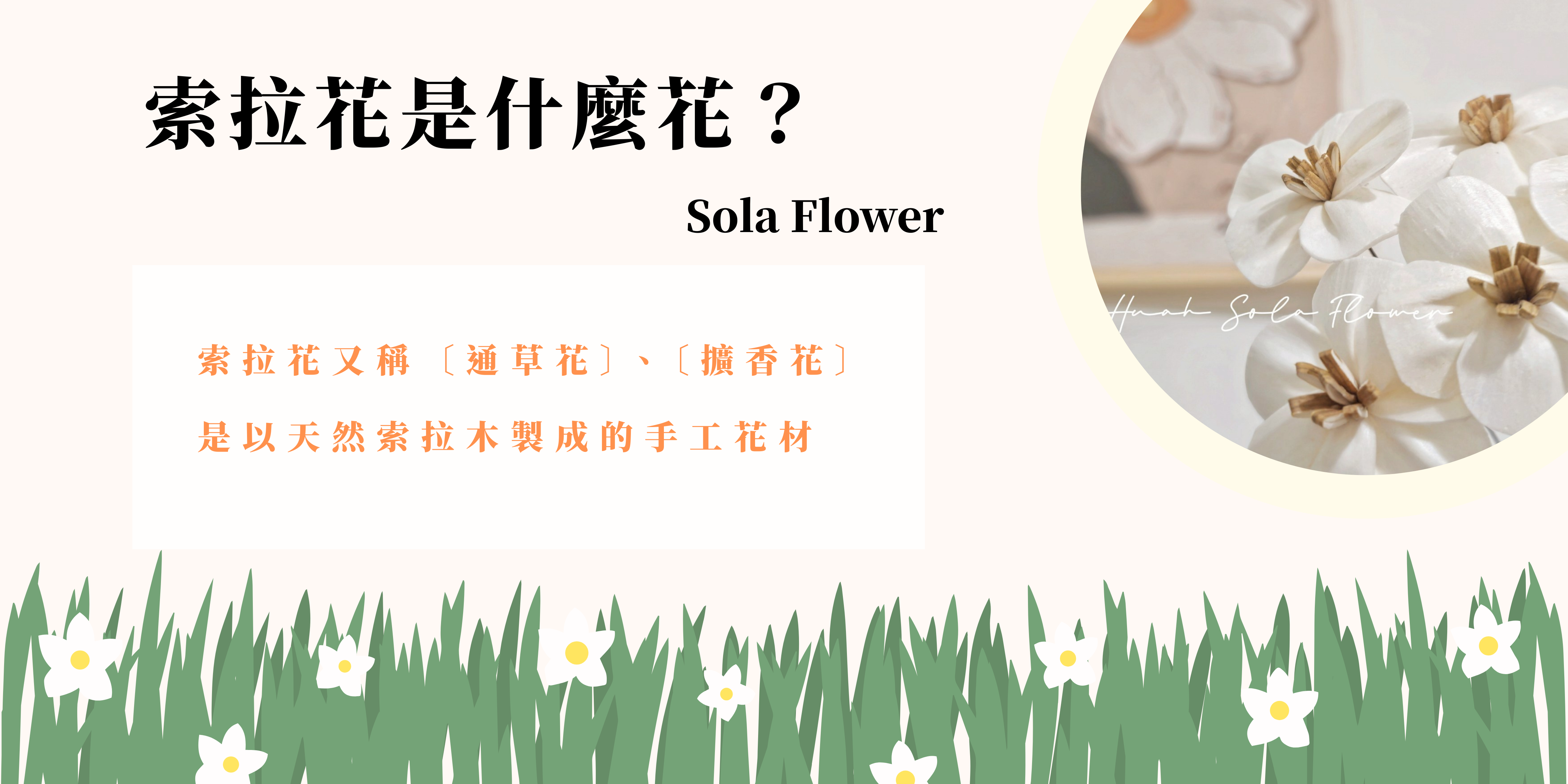 索拉花是什麼花