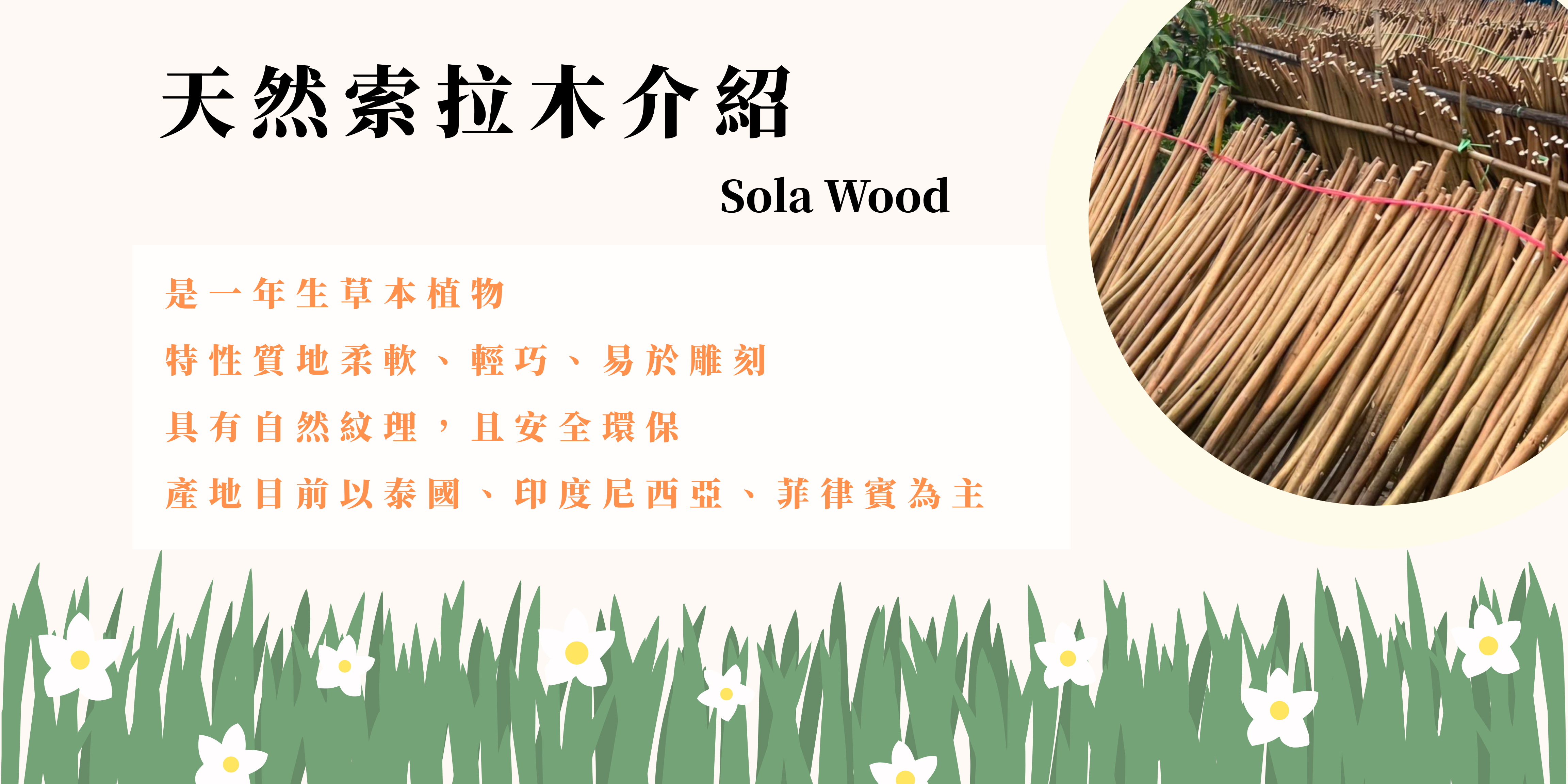 天然索拉木介紹