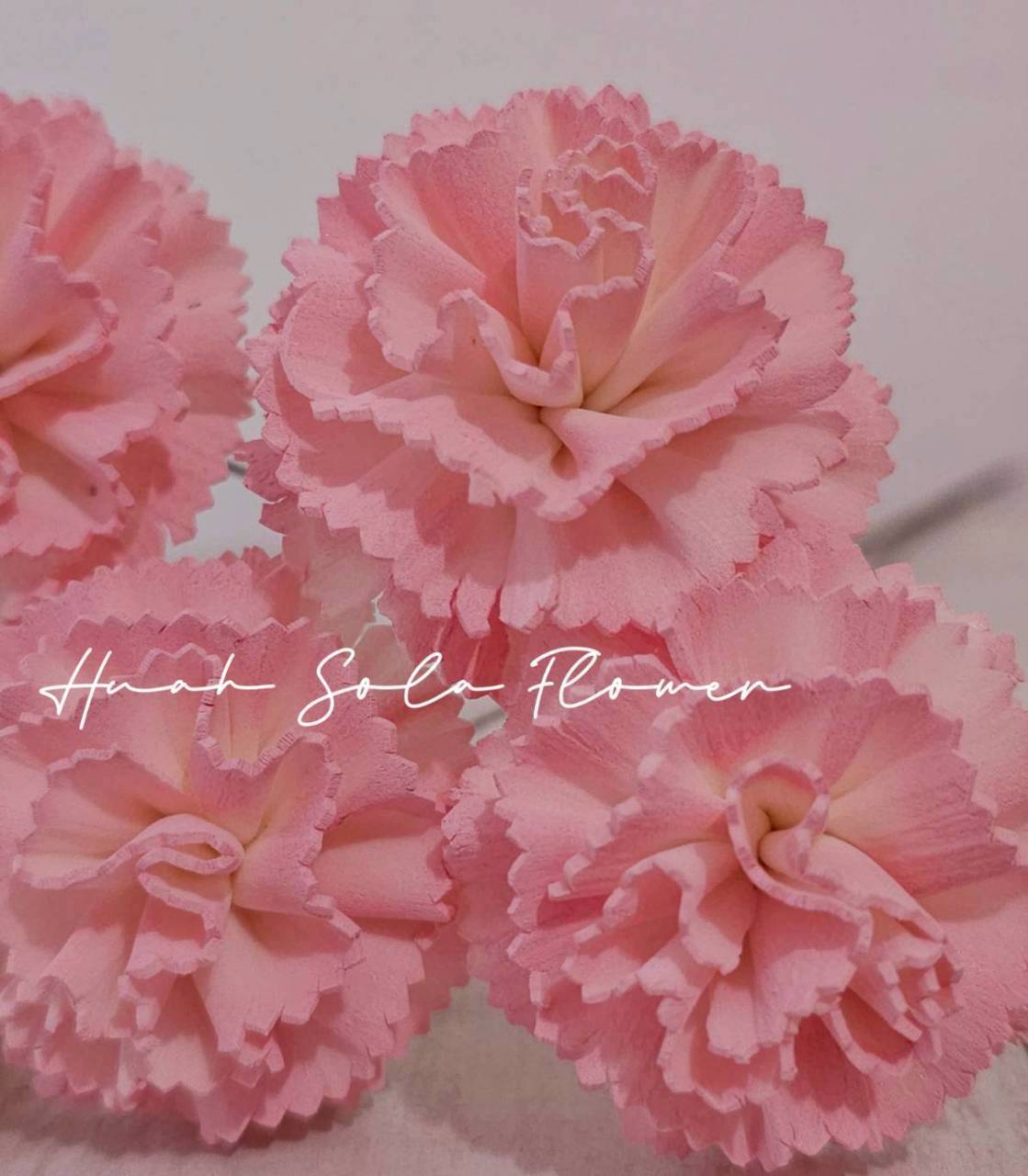 LINE_ALBUM_官網9_260306_1