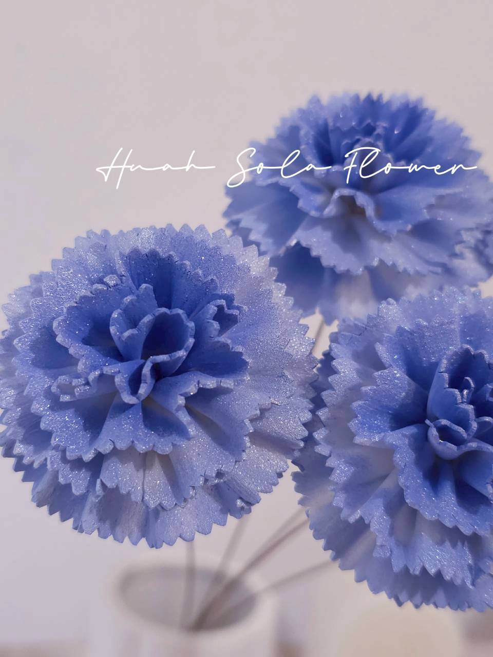 LINE_ALBUM_官網0306_260306_11