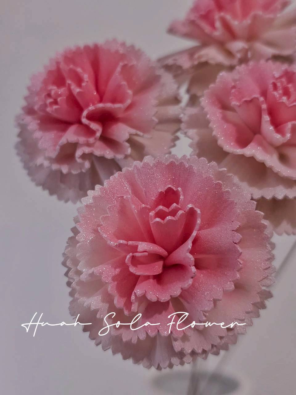 LINE_ALBUM_官網0306_260306_14