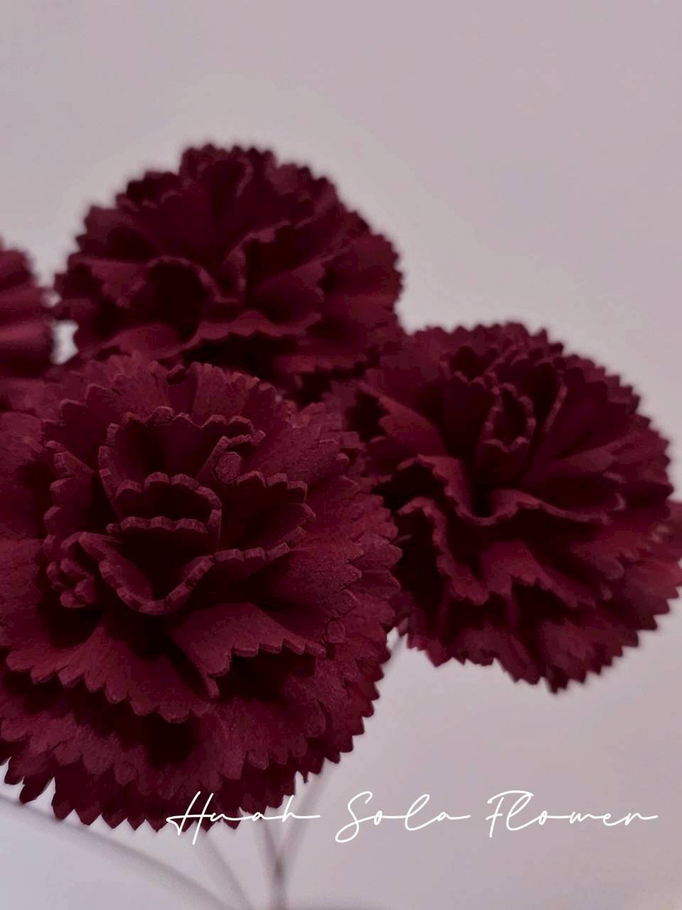 LINE_ALBUM_官網0306_260306_29