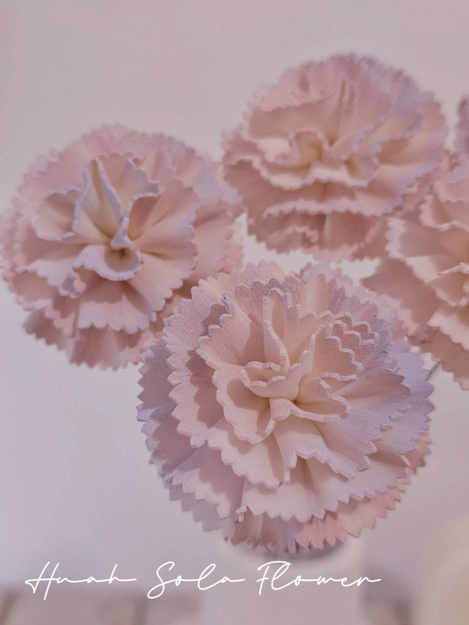 LINE_ALBUM_官網0306_260306_36