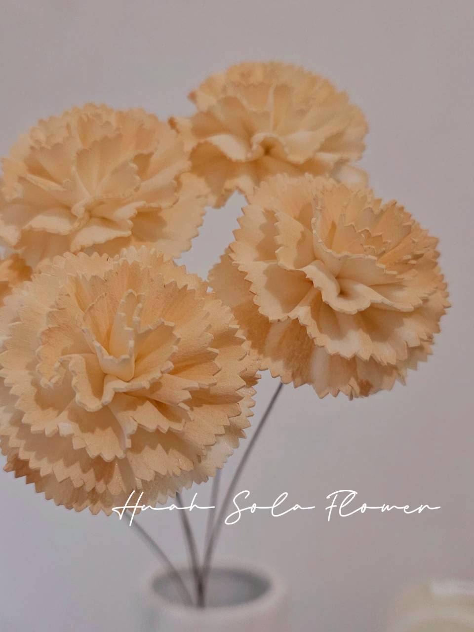 LINE_ALBUM_官網0306_260306_48