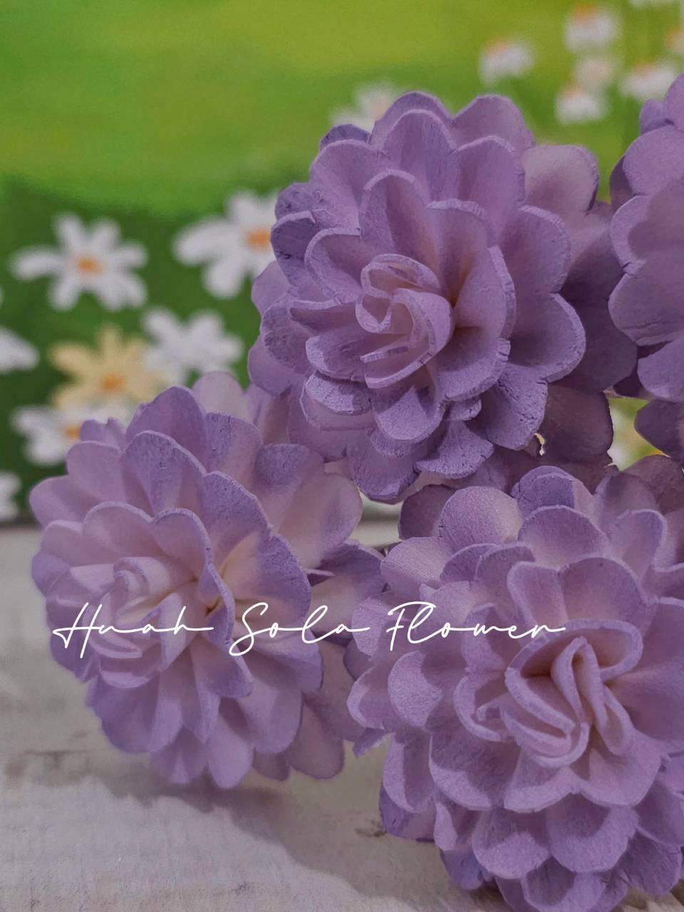 LINE_ALBUM_官網0306-2_260307_111