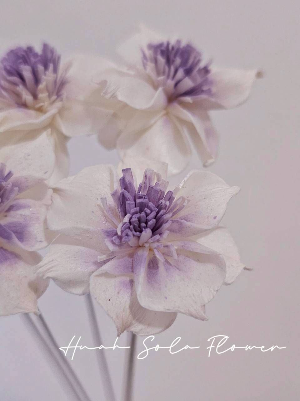 LINE_ALBUM_官網0306-2_260307_99