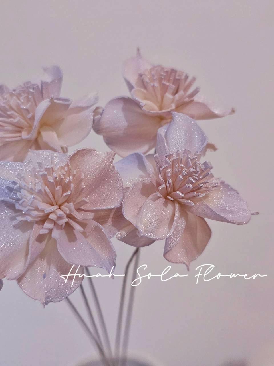 LINE_ALBUM_官網0306-2_260307_97