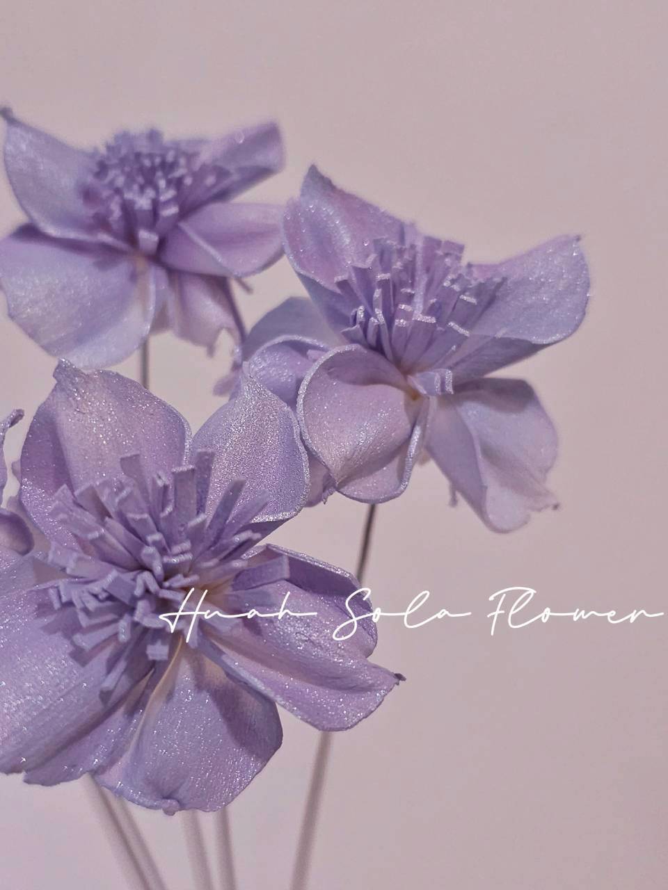 LINE_ALBUM_官網0306-2_260307_95