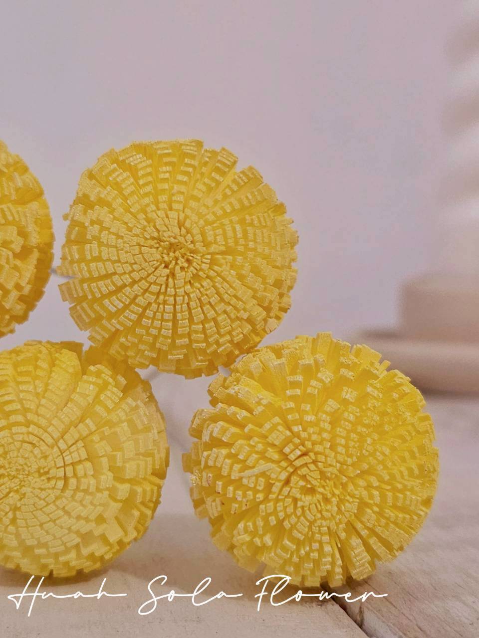 LINE_ALBUM_官網0306-2_260307_81