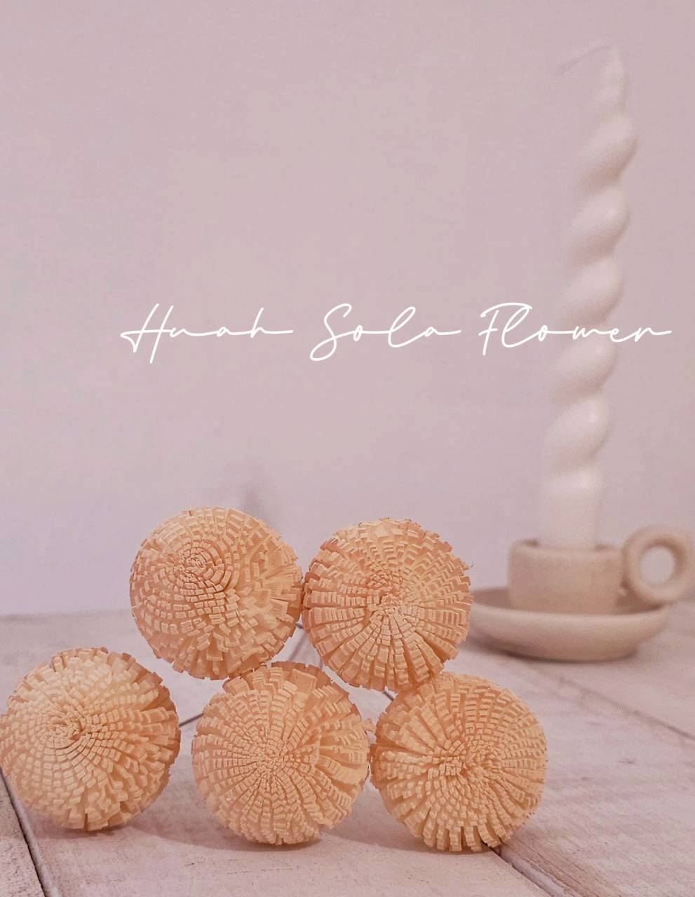 LINE_ALBUM_官網0306-2_260307_79