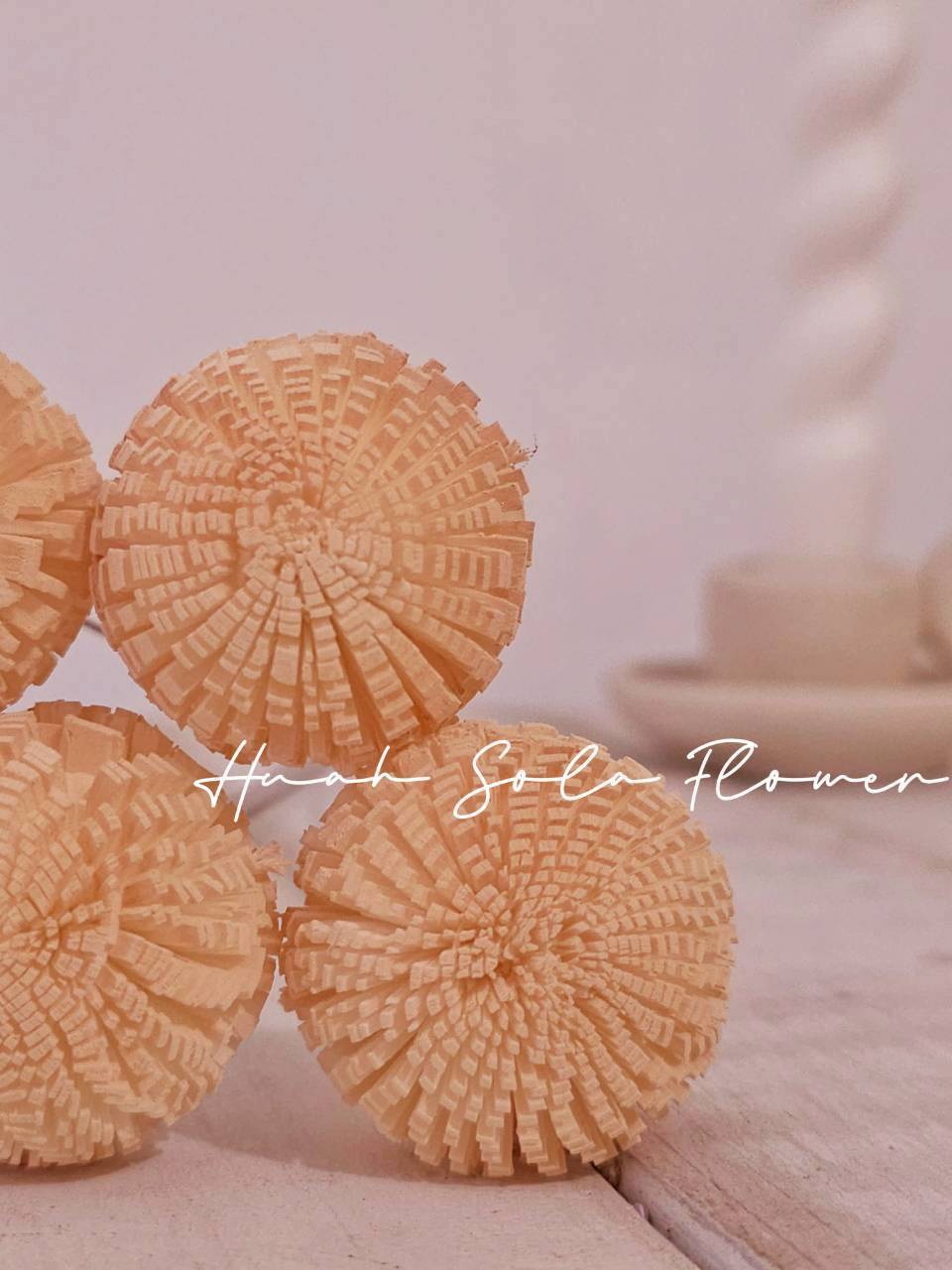 LINE_ALBUM_官網0306-2_260307_80