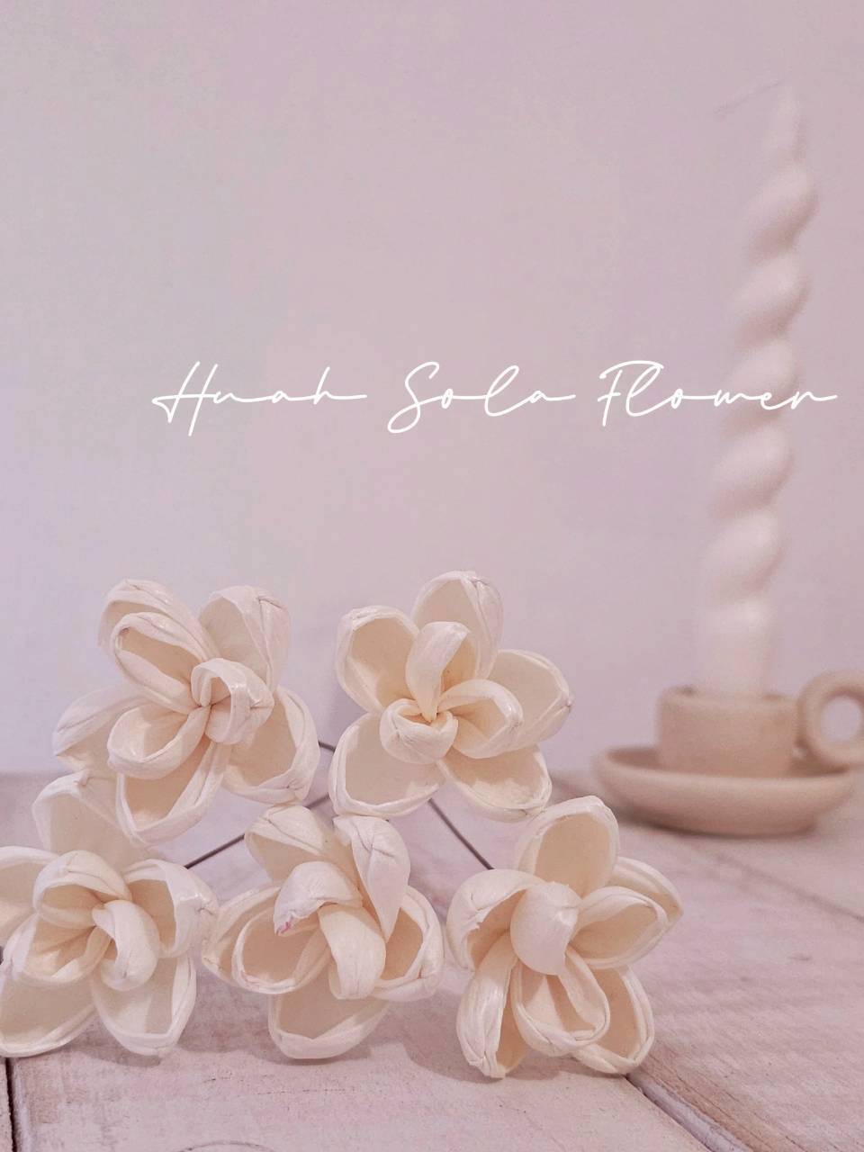 LINE_ALBUM_官網0306-2_260307_78