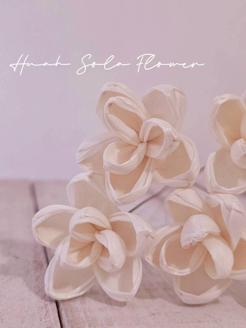 LINE_ALBUM_官網0306-2_260307_77