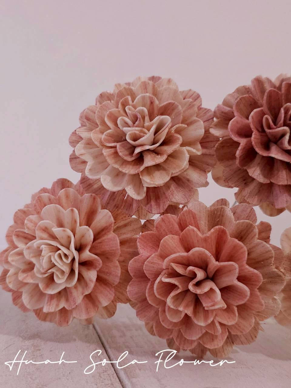 LINE_ALBUM_官網0306-2_260307_76