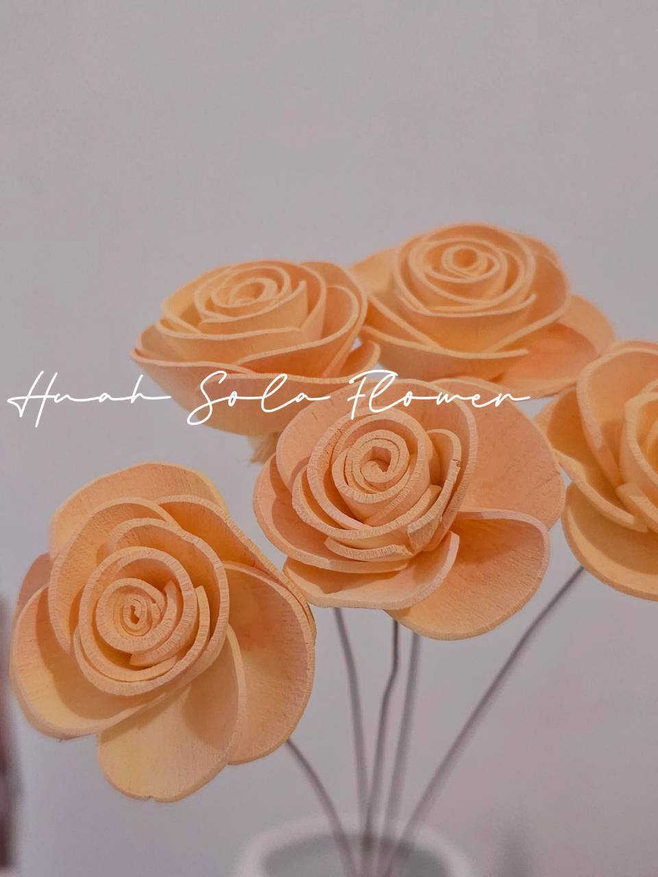 LINE_ALBUM_官網0306-2_260307_72