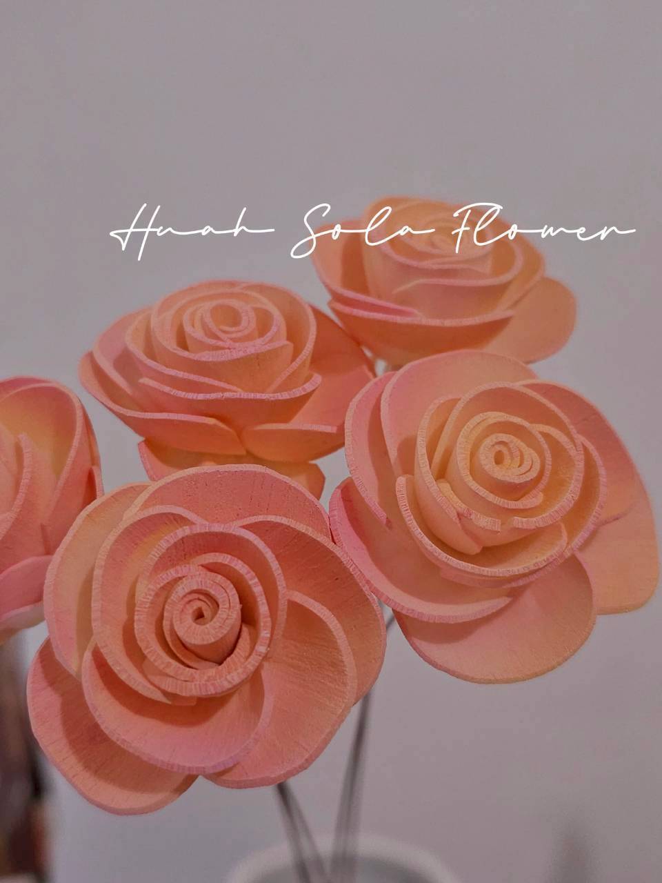 LINE_ALBUM_官網0306-2_260307_69