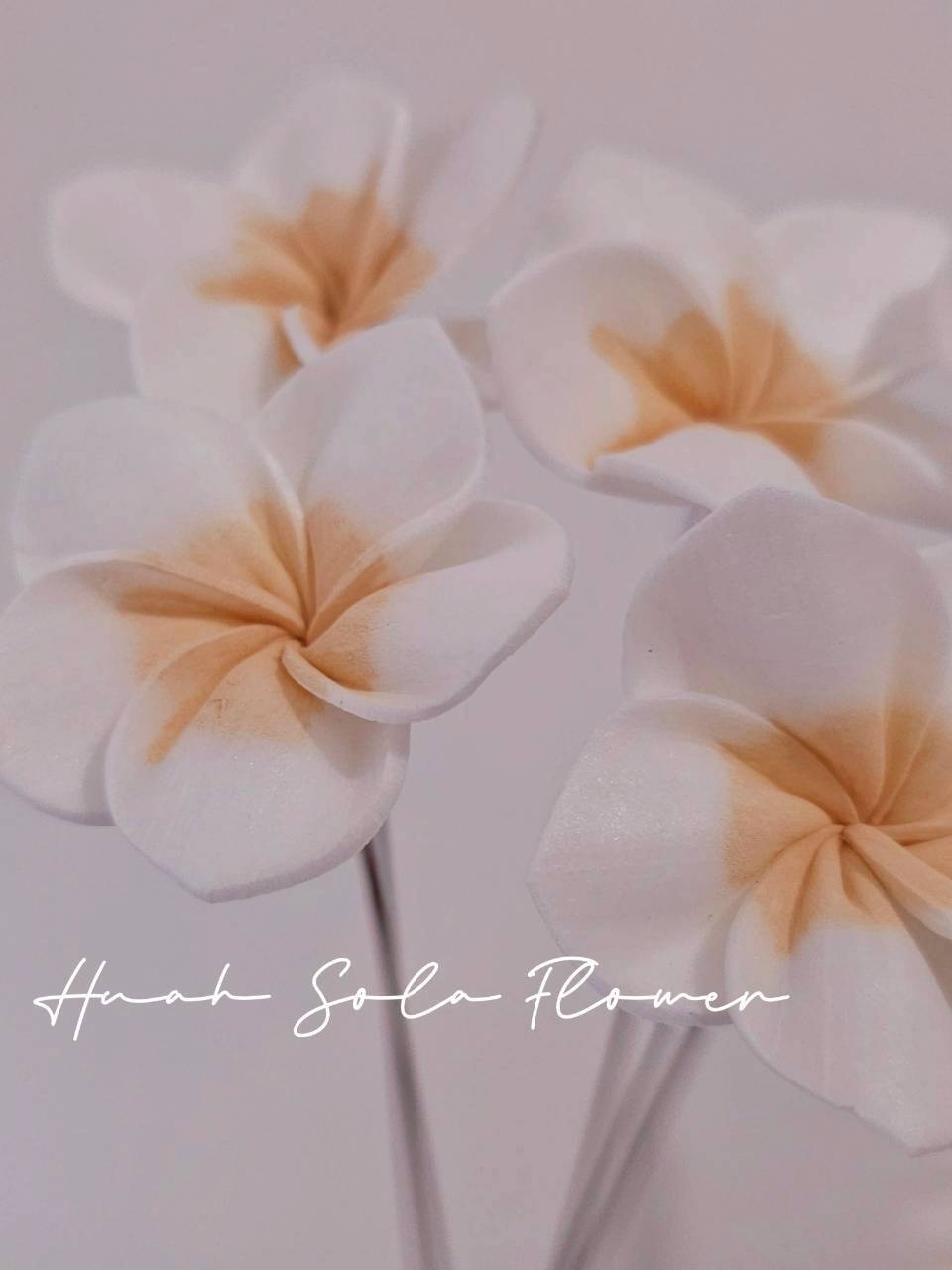 LINE_ALBUM_官網0306-2_260307_64