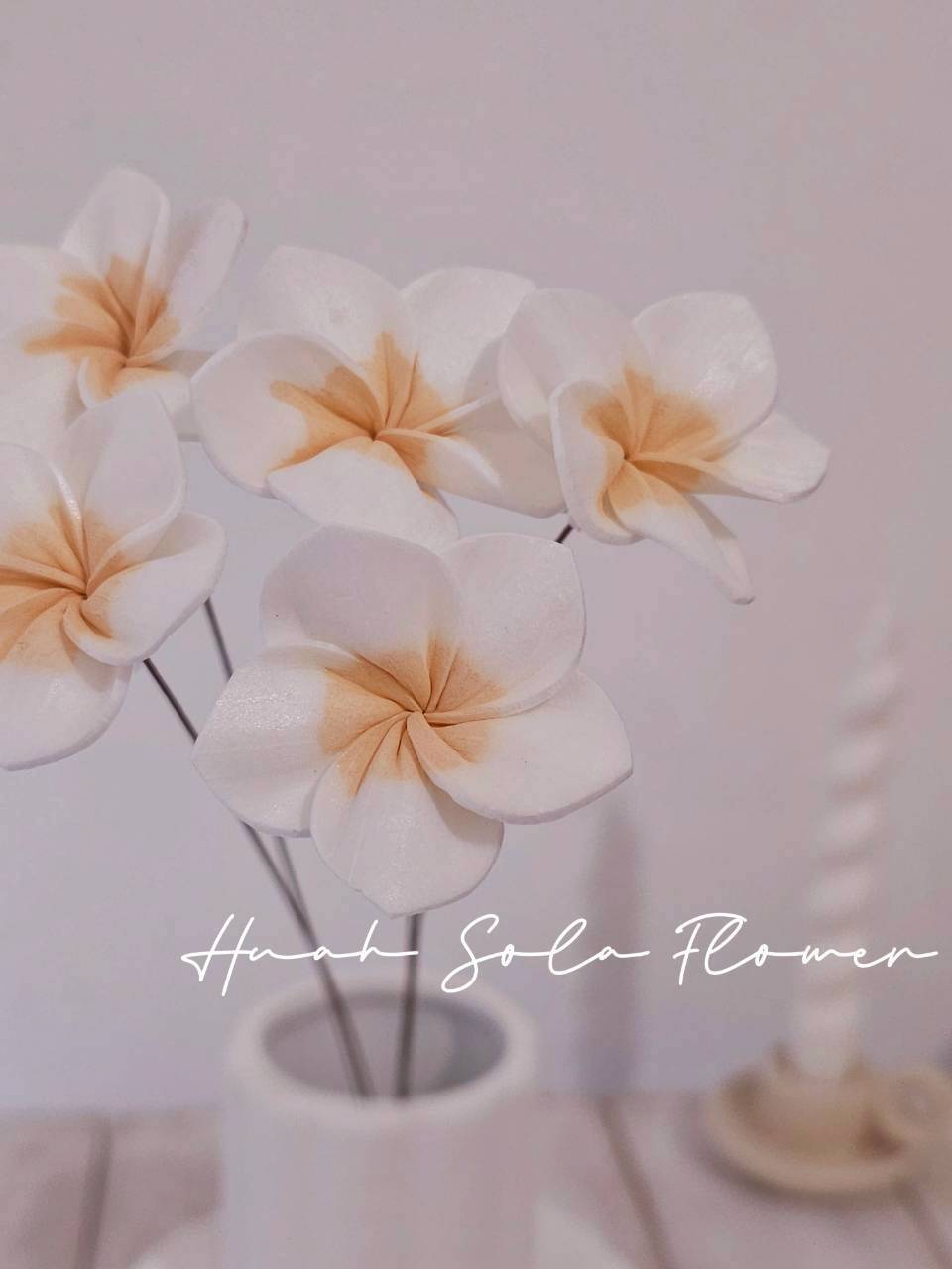 LINE_ALBUM_官網0306-2_260307_63