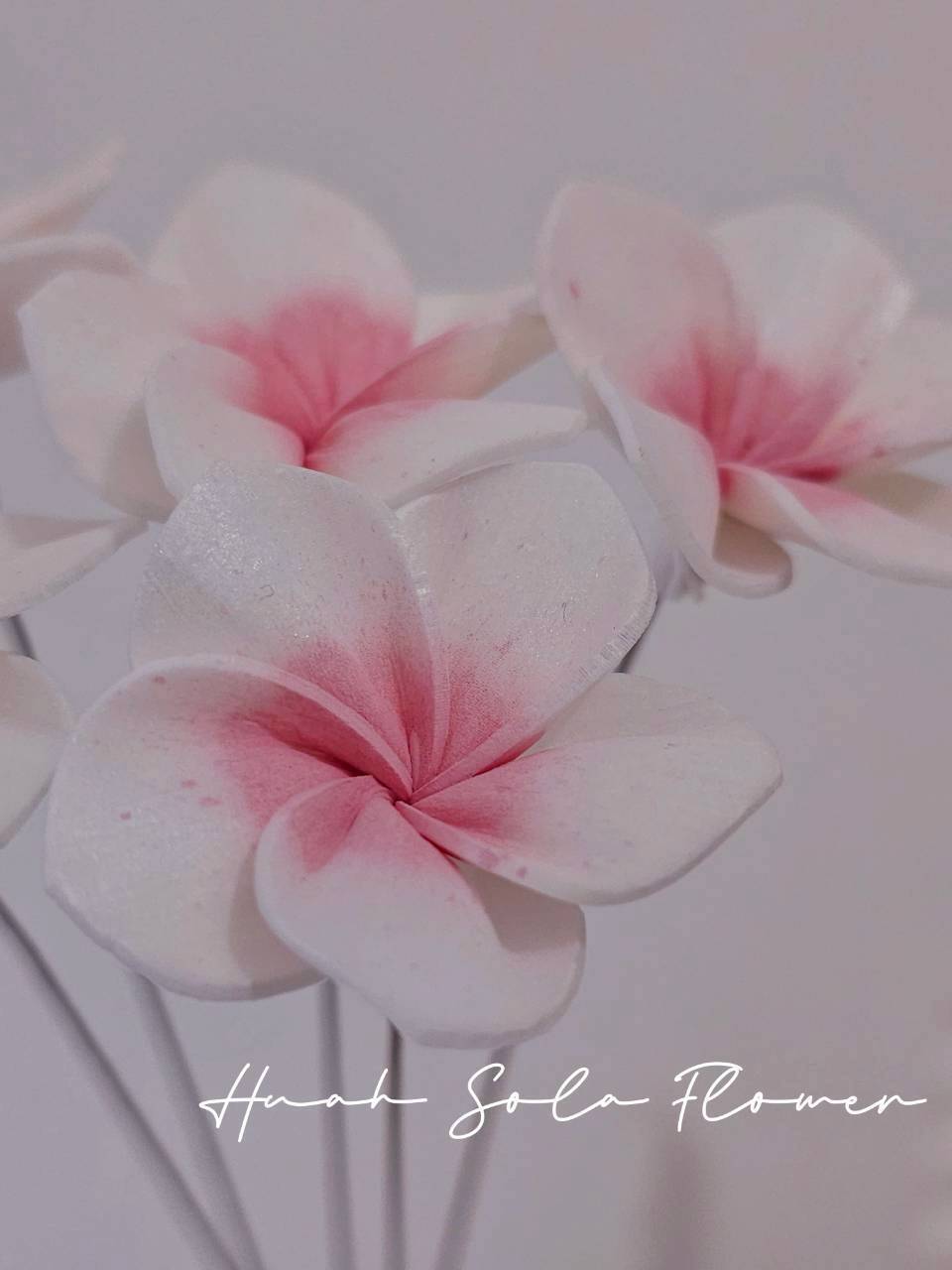 LINE_ALBUM_官網0306-2_260307_61