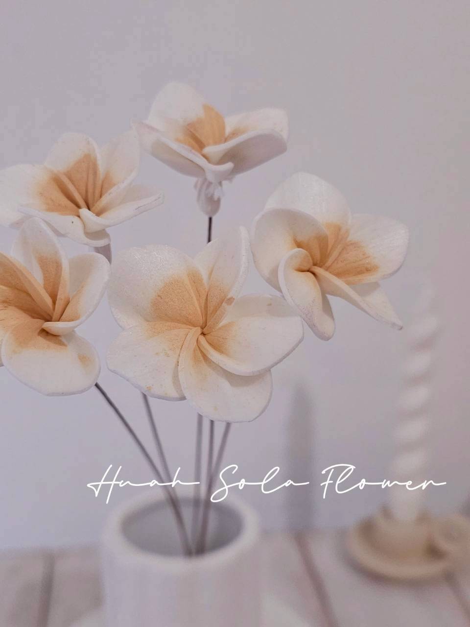 LINE_ALBUM_官網0306-2_260307_58